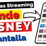 como ser distribuidor de pantallas disney