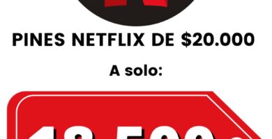 pines netflix en promoción
