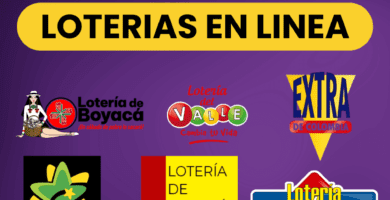 vender loterias en linea